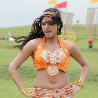 Haripriya Exclusive Gallery From Pilla Zamindar Movie | Picture 101936